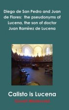 Diego de San Pedro and Juan de Flores:  the pseudonyms of Lucena, the son of doctor Juan Ramirez de Lucena