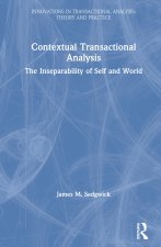 Contextual Transactional Analysis