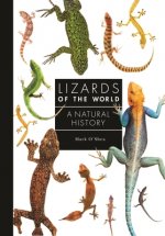 Lizards of the World: A Guide to Every Family