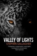 Valley of Lights