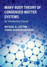 Many-Body Theory of Condensed Matter Systems