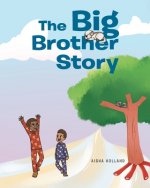 Big Brother Story