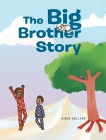 Big Brother Story