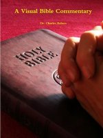 Visual Bible Commentary