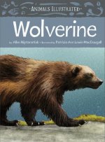Animals Illustrated: Wolverine
