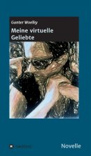Meine virtuelle Geliebte
