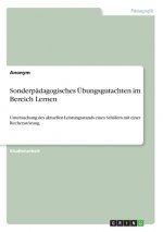 Sonderpädagogisches Übungsgutachten im Bereich Lernen