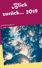Blick zuruck 2019...