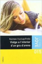 Viatge a l'interior d'un gra d'arena