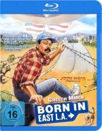 Born in East L.A., 1 Blu-ray