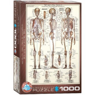 Puzzle 1000 The Skeletal System 6000-3970