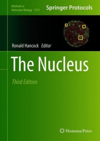 The Nucleus