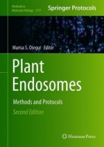 Plant Endosomes