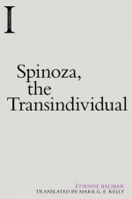 Spinoza, the Transindividual