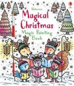 Enchanted Christmas Magic Painting Book