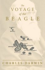 Voyage of the Beagle