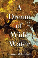 Dream of Wide Water