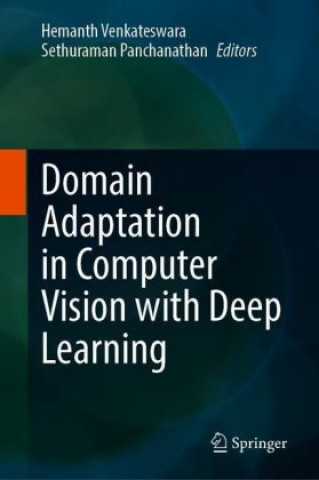 Domain Adaptation in Computer Vision with Deep Learning