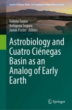 Astrobiology and Cuatro Cienegas Basin as an Analog of Early Earth