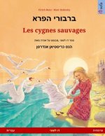 ברבורי הפרא - Les cygnes sauvages (עברית - צר