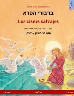 ברבורי הפרא - Los cisnes salvajes (עברית - ספ