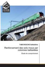 Renforcement des sols mous par colonnes ballastees
