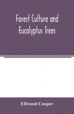 Forest culture and eucalyptus trees