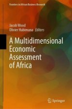 Multidimensional Economic Assessment of Africa