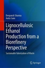 Lignocellulosic Ethanol Production from a Biorefinery Perspective