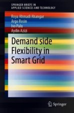 Demand-side Flexibility in Smart Grid