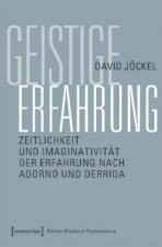 Geistige Erfahrung