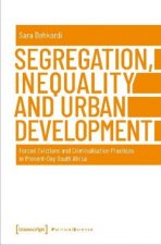 Segregation, Inequality, and Urban Development - Forced Evictions and Criminalisation Practices in Present-Day South Africa