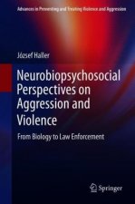 Neurobiopsychosocial Perspectives on Aggression and Violence