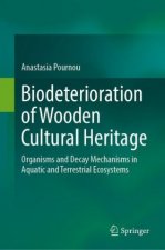 Biodeterioration of Wooden Cultural Heritage