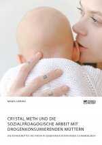 Crystal Meth und die sozialpadagogische Arbeit mit drogenkonsumierenden Muttern. Wie koennen Mutter und Kinder in gemeinsamen Wohnformen zusammenleben