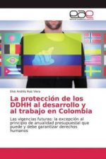 proteccion de los DDHH al desarrollo y al trabajo en Colombia