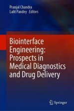 Biointerface Engineering: Prospects in Medical Diagnostics and Drug Delivery