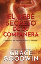 bebe secreto de su companera