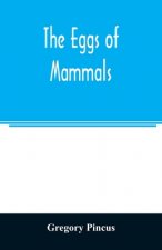 eggs of mammals