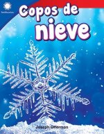 Copos de Nieve (Studying Snowflakes)