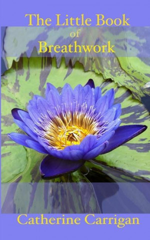 The Little Book of Breathwork (Puha kötésű)