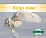 Búho Nival (Snowy Owl)