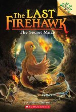 Secret Maze: A Branches Book (The Last Firehawk #10)