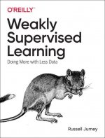 Practical Weak Supervision