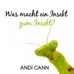 Was macht ein Insekt zum Insekt
