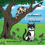 Adventures of Rembrandt the Tuxedo Cat