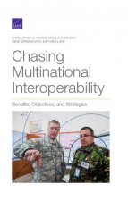 Chasing Multinational Interoperability