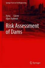 Risk Assessment of Dams