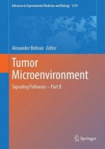 Tumor Microenvironment