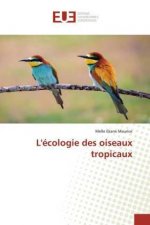 L'écologie des oiseaux tropicaux